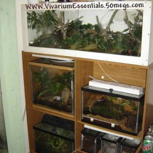 Amphibian Rack System, sort of.