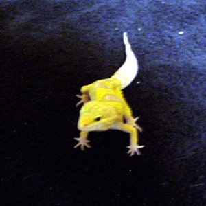 male_pic_3