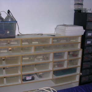leopard gecko racks