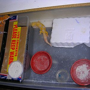 group setup
