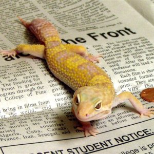 circle_back_red_eye_vegas_male_pic1_44g