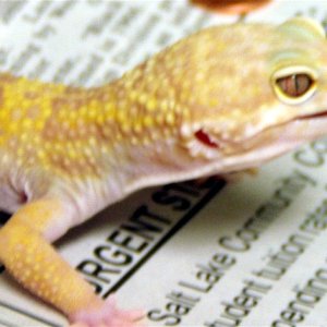 circle_back_red_eye_vegas_male_pic2_44g