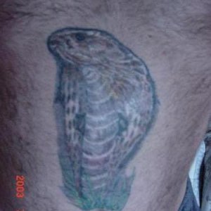 Spectacled Cobra Tattoo