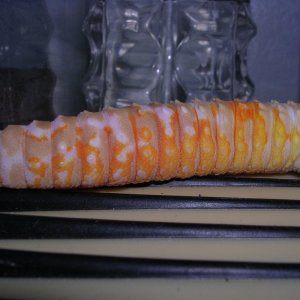 Carrot tail jungle giant  tail