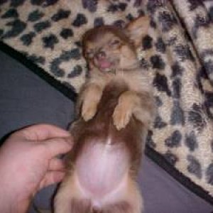 She Loves It!!