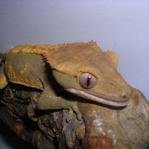 DSCN2561