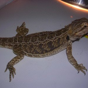 DSCN2578