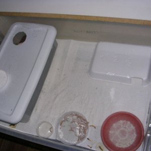 DSCN2651