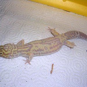DSCN2676