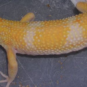 DSCN2691