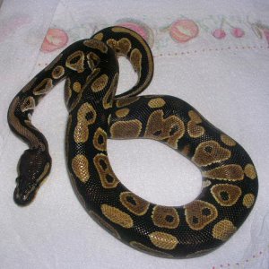 DSCN2685