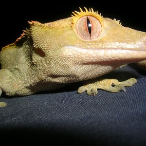 DSCN2822