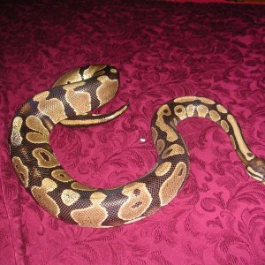 DSCN2855