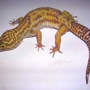 DSCN2671