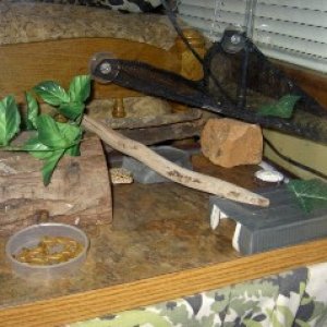 Tile in cage 2
