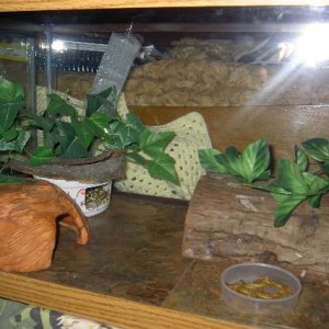 Tile in cage 2