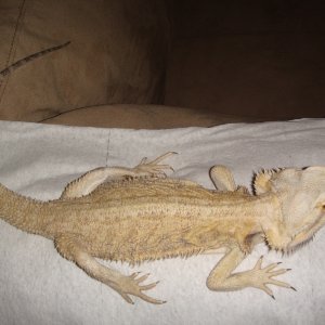 DSC01435