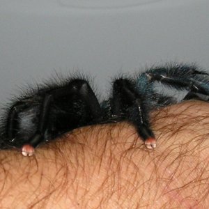 Pink toe pics