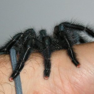 Pink toe pics