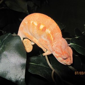 IMG_0257