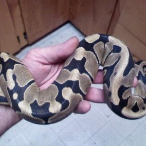 reduced pattern