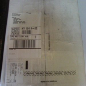 IMG004261