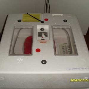 incubator1