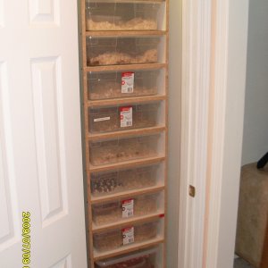 snake_rack