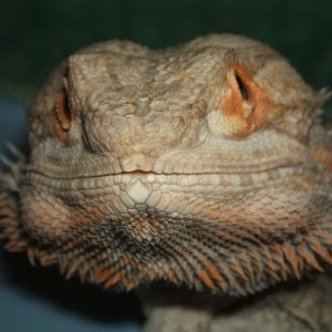 DSCF0222