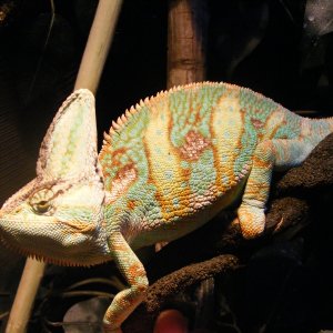 DSCF6352