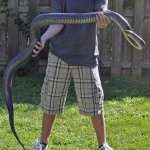 monster_male