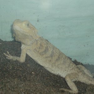 Picture_170