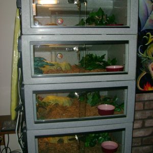 my vision 221s setup
