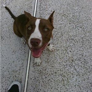 karma(8months)