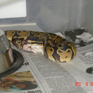 First feed