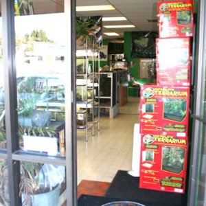 Pics Of My Store