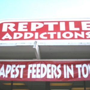 Pics Of My Store