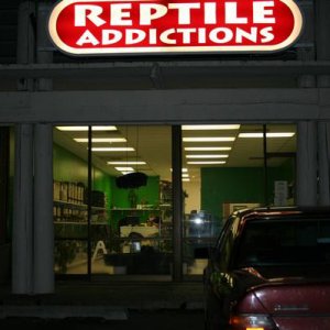 Pics Of My Store