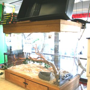 My Store- Reptile Addictions