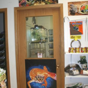 My Store- Reptile Addictions