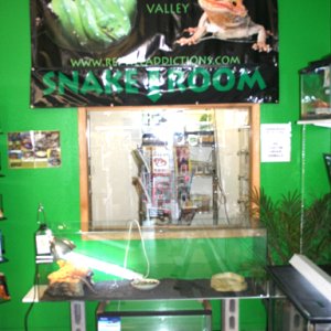 My Store- Reptile Addictions
