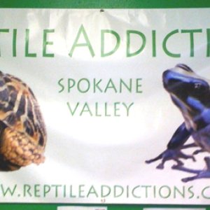 My Store- Reptile Addictions