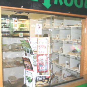 My Reptile Store- Reptile Addictions