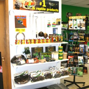 My Reptile Store- Reptile Addictions