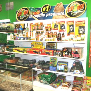 My Reptile Store- Reptile Addictions
