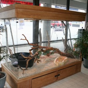 shop033