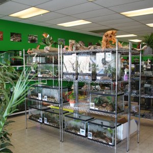 shop034