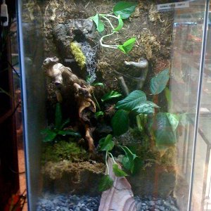 photo11