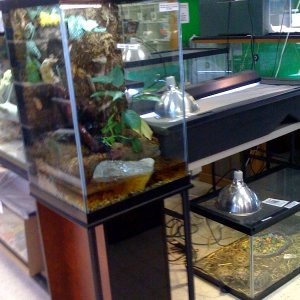photo5