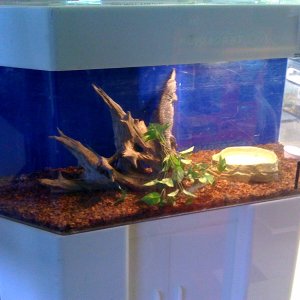 photo12